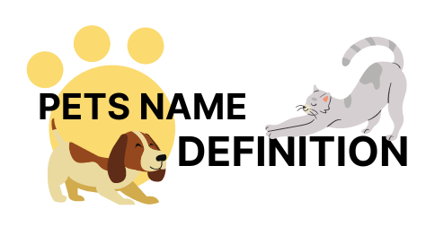 Pet name definition